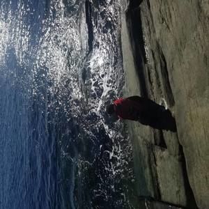 Meet your Posher, Markinia